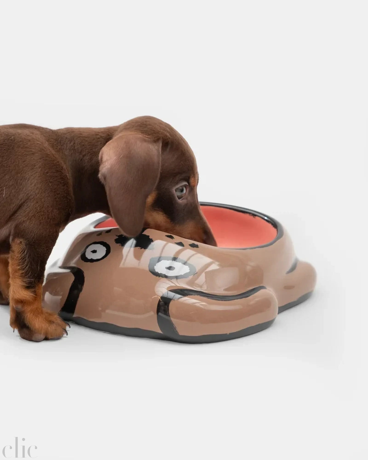 Dog food Bowl