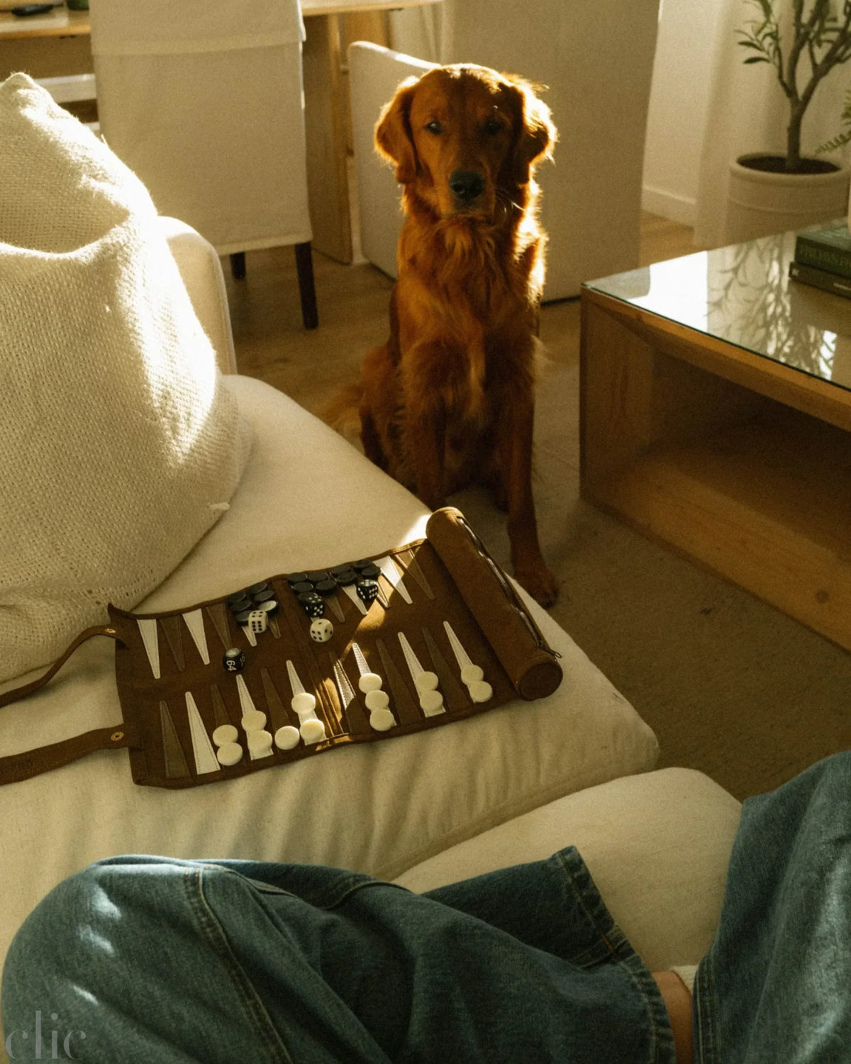 Travel Backgammon in Dark Brown