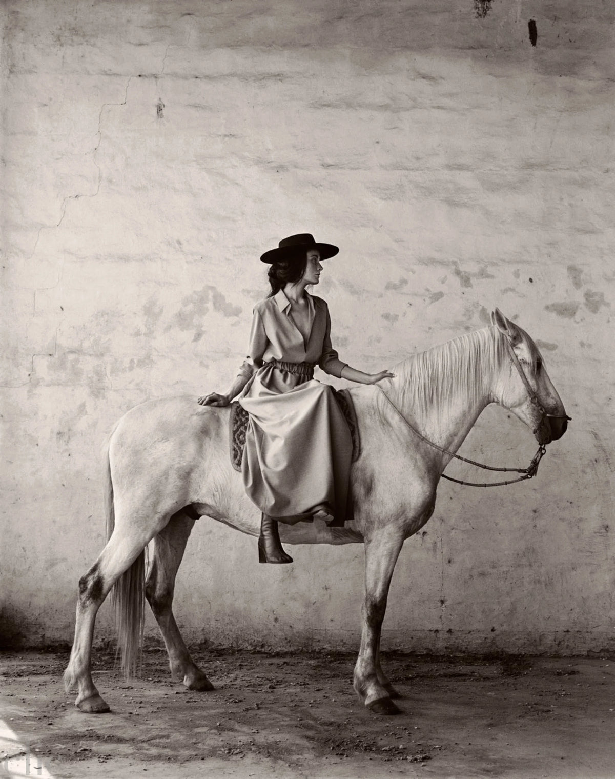 Horse in Argentina by Anne Menke