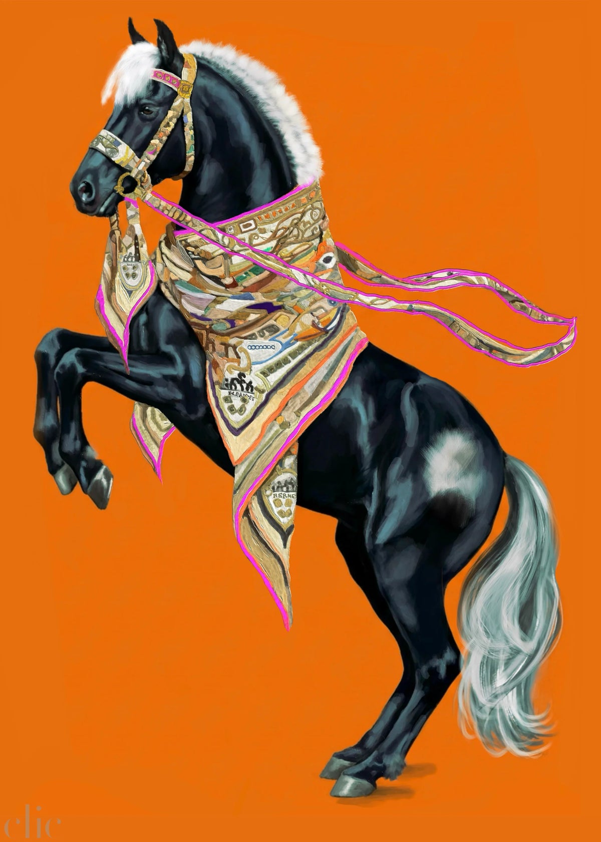 E'Toile by Rory Gevis