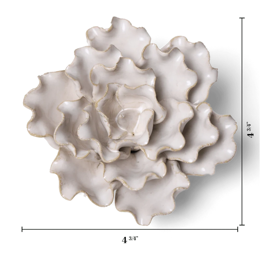 Sea Lettuce Flower in Ivory, from Chive