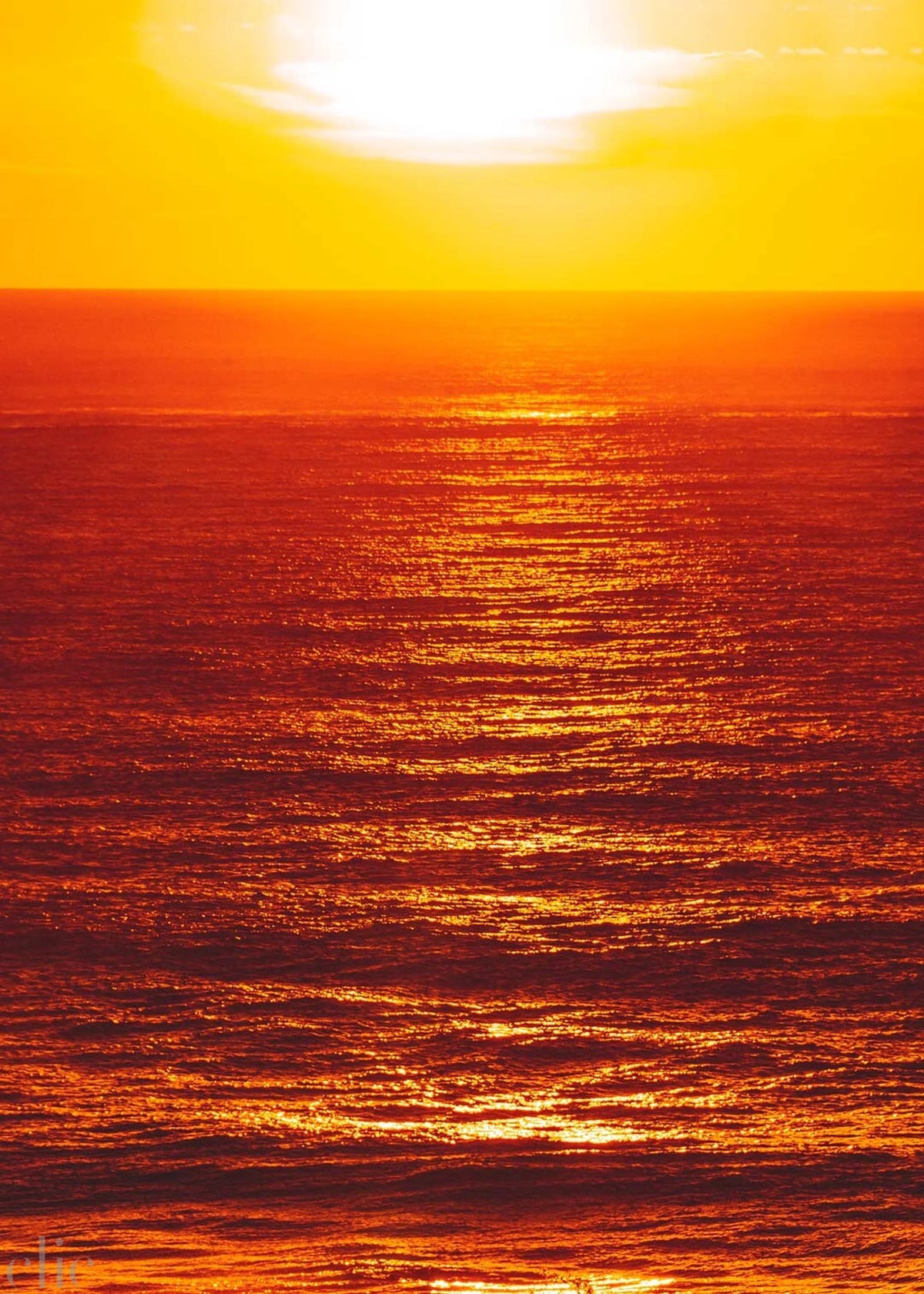 South Bondi Sunrise by Pottsy