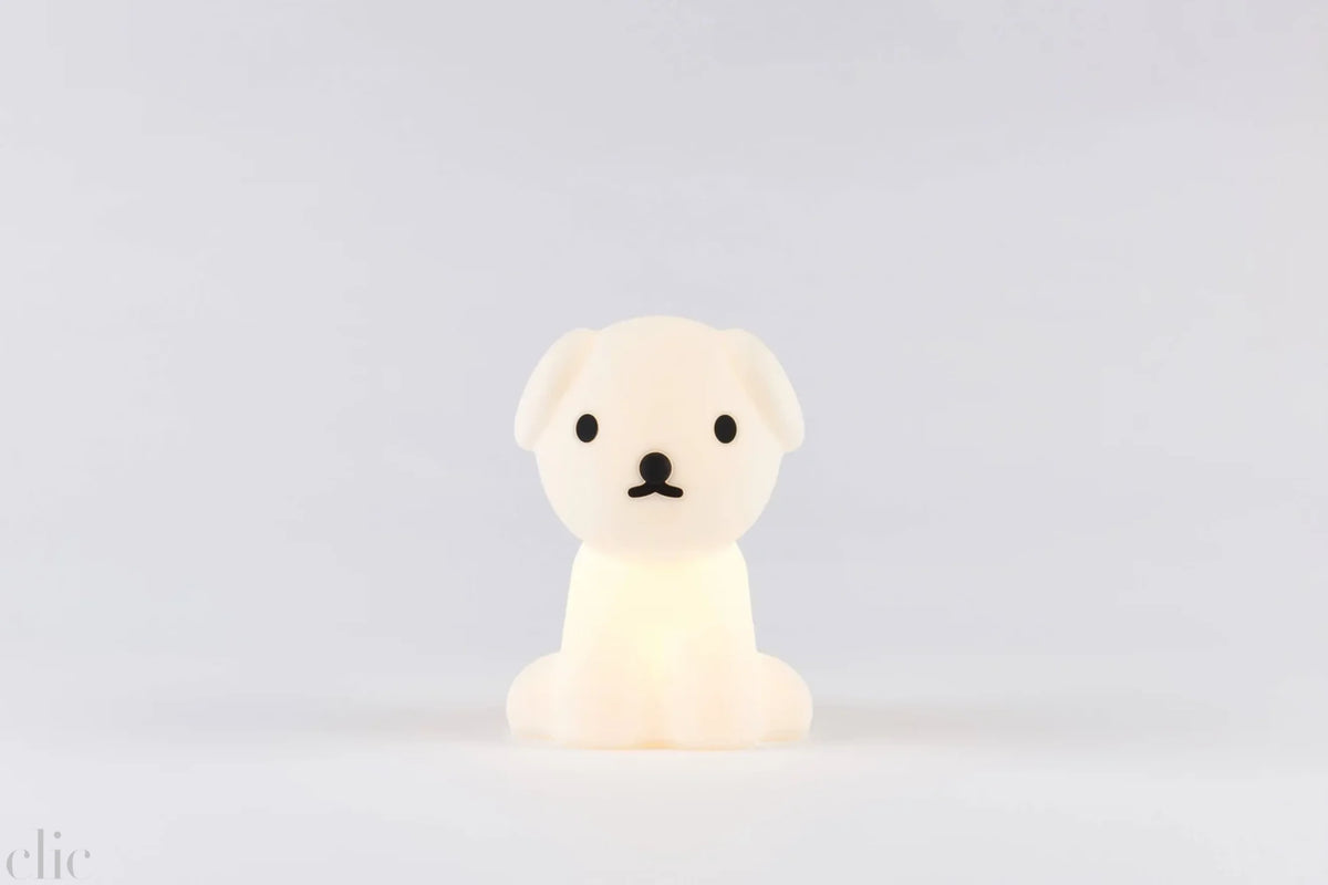 Snuffy First Lamp