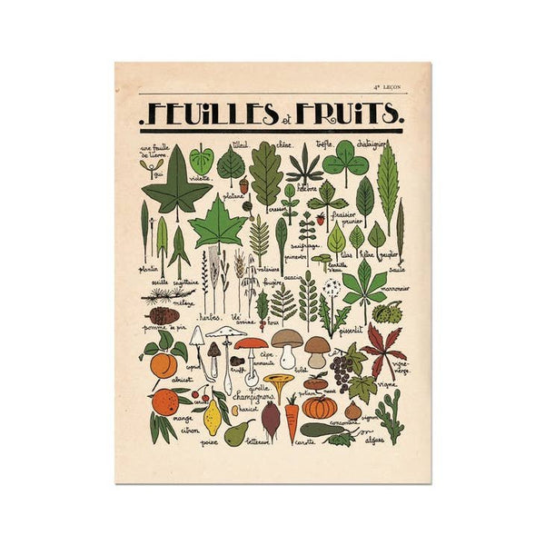 Feuilles et Fruits Fine Art Print, from Roomytown
