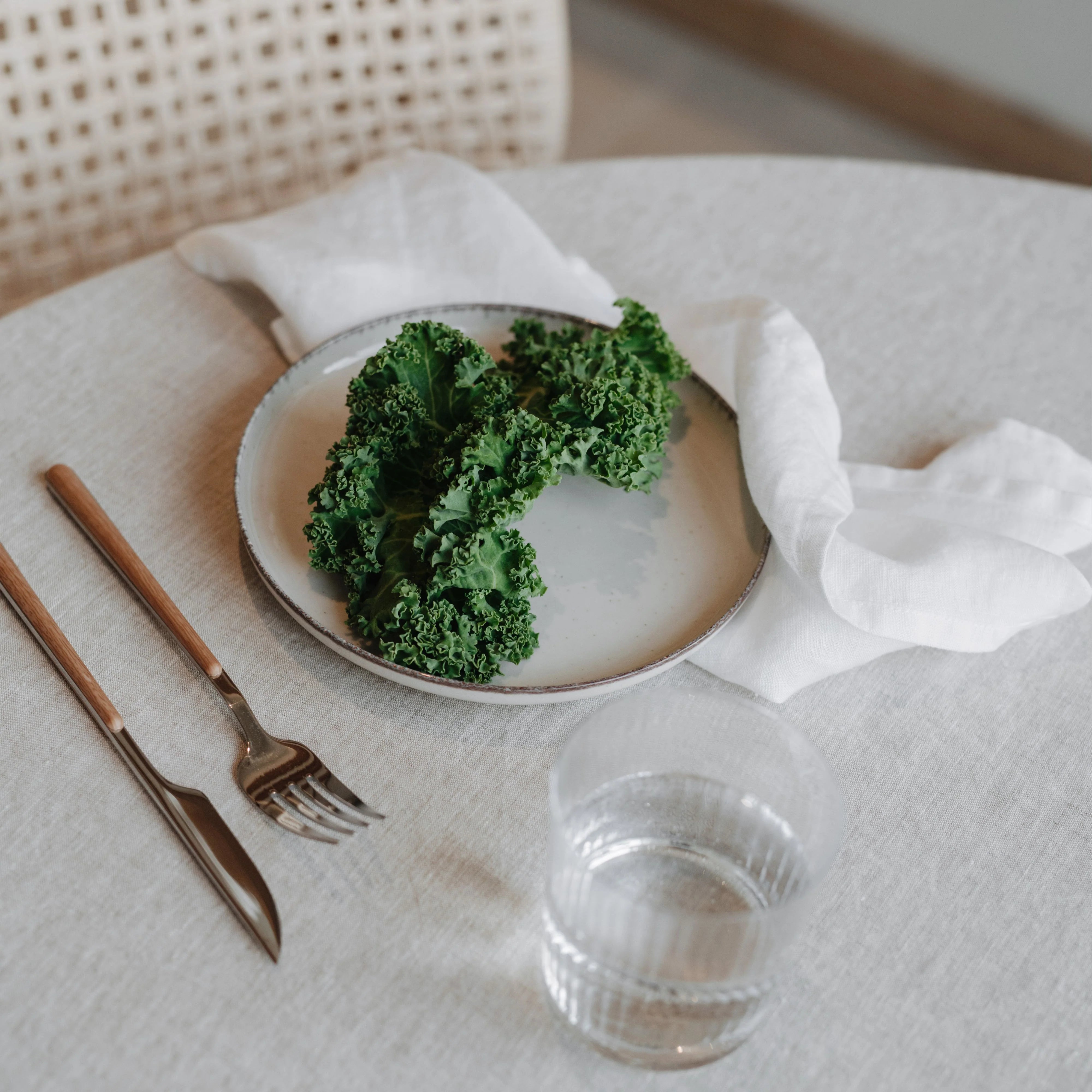 20 x 20 Lightweight Linen Set of 2 Napkins in White, from Linen Tales