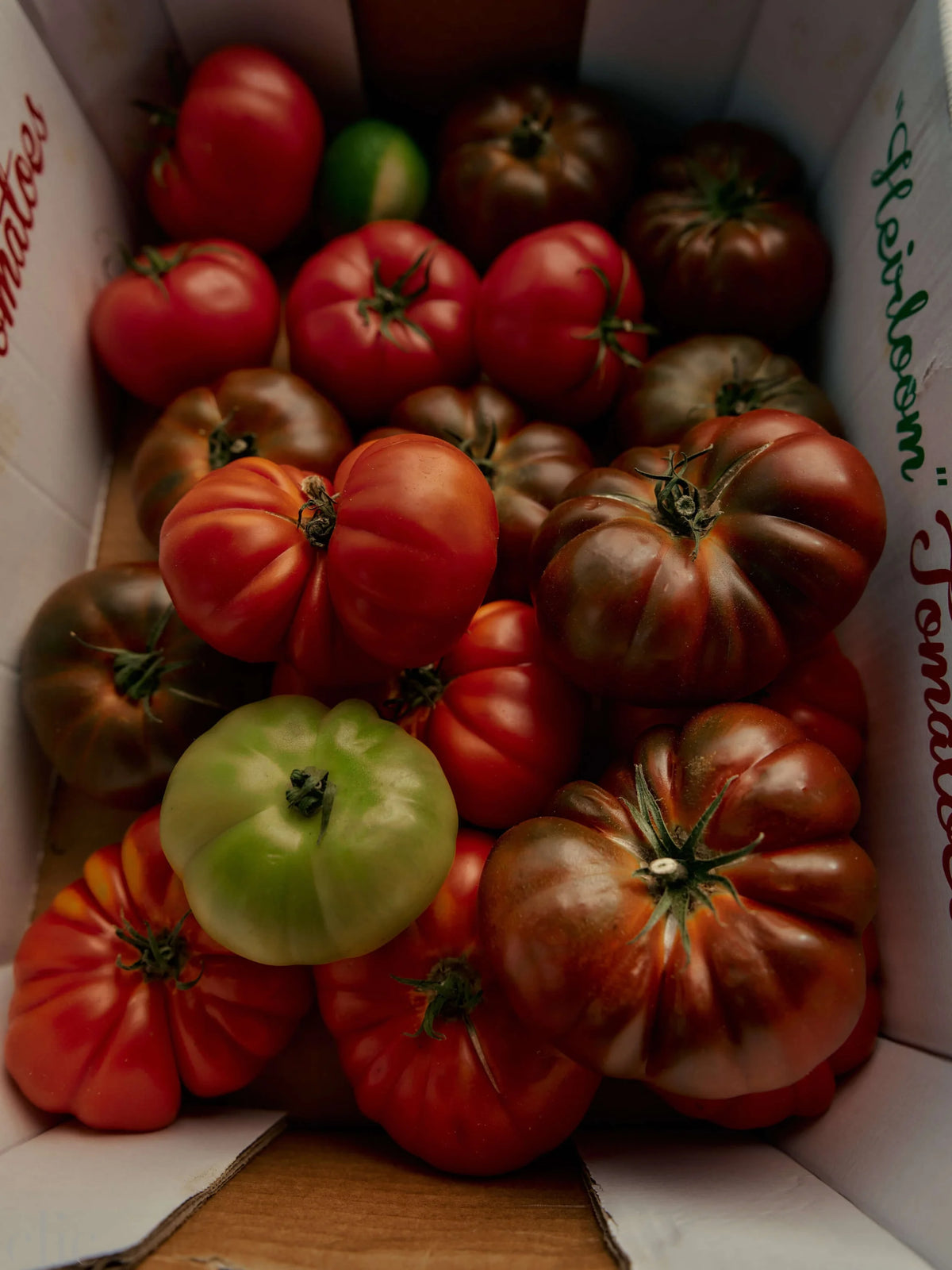 Roma Heirloom Tomato Candle, from Flamingo Estate