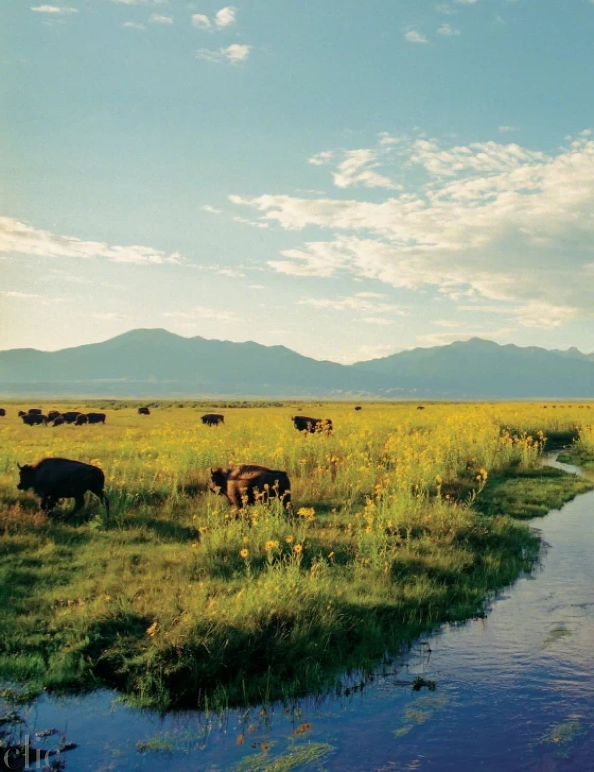 Ranchlands: From the Land, For the Land