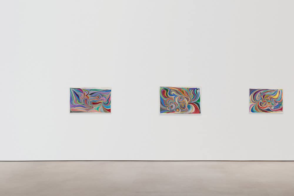 Chris Johanson: Considering Unknow Know With What Is, And