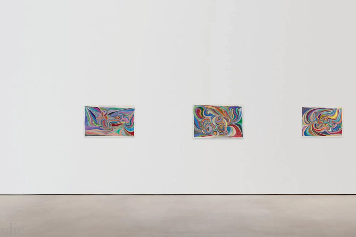 Chris Johanson: Considering Unknow Know With What Is, And