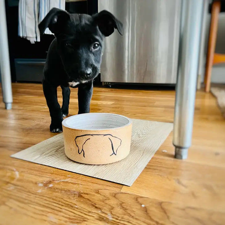 Mod Dog Bowl, from Hands On Ceramics
