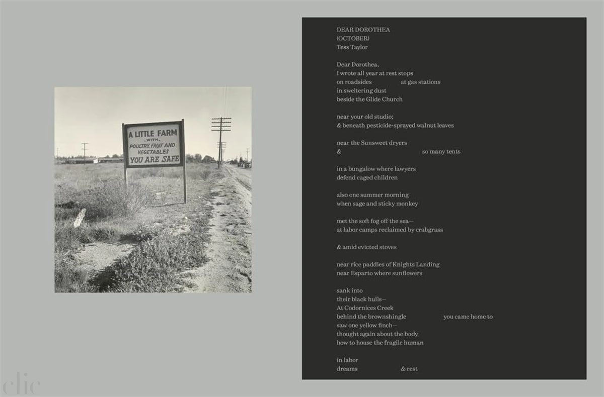 Women Photographers 1900–1975: A Legacy of Light