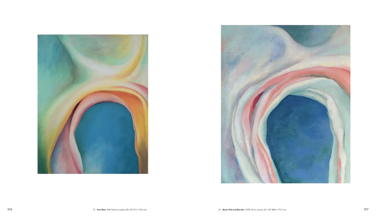 Georgia O’Keeffe: To See Takes Time