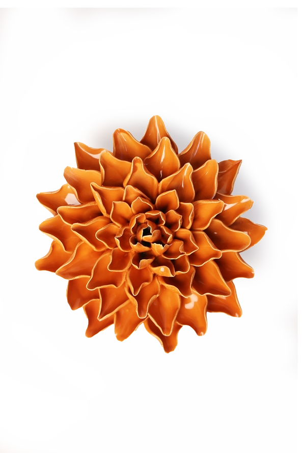 Azalea Flower in Orange