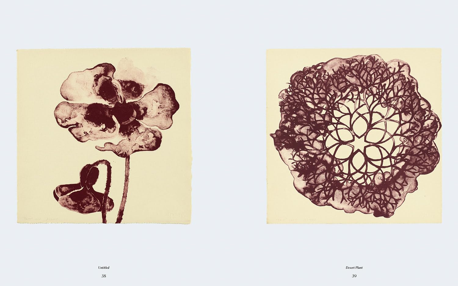 Ruth Asawa: The Tamarind Prints