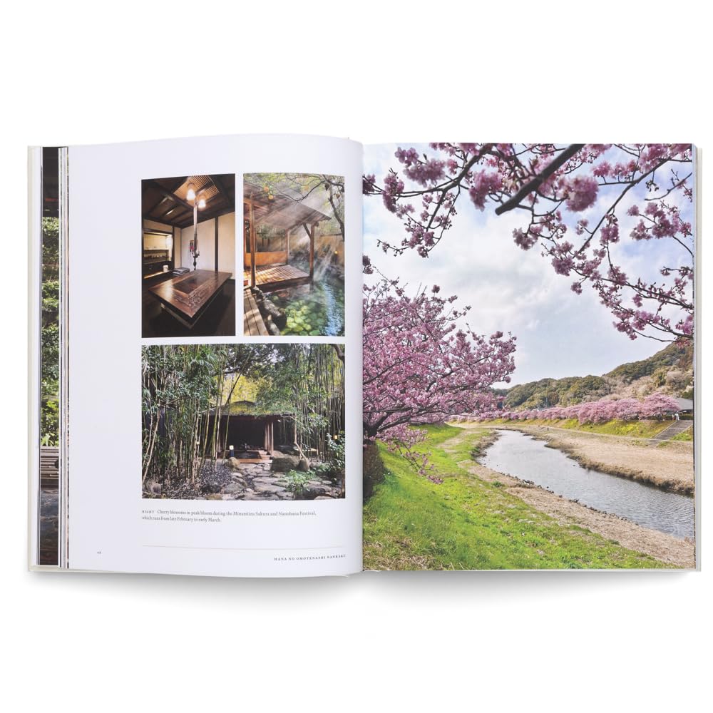 Onsen and Ryokan of Japan: Traditional Spa and Bathing Culture