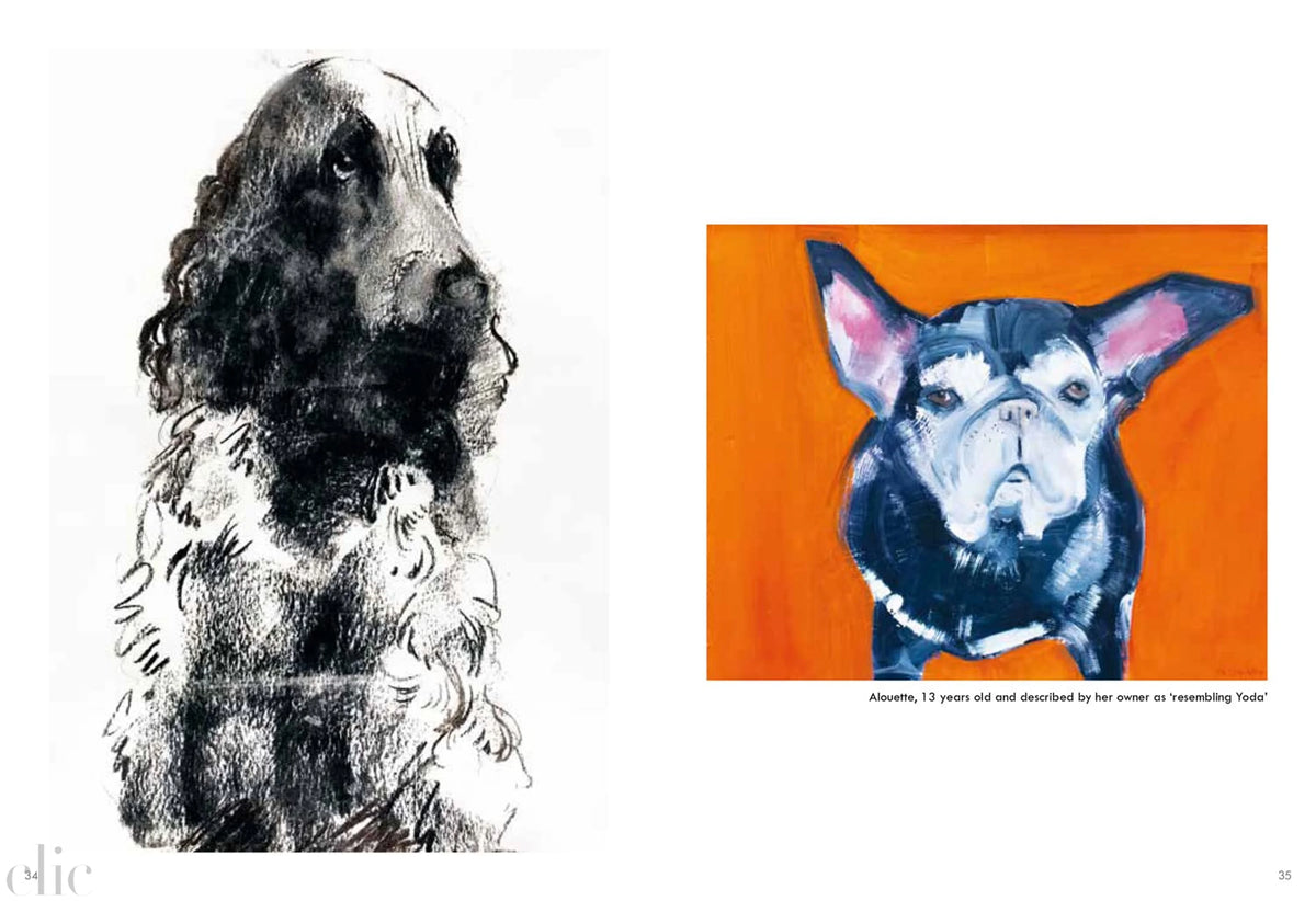 Old Dogs