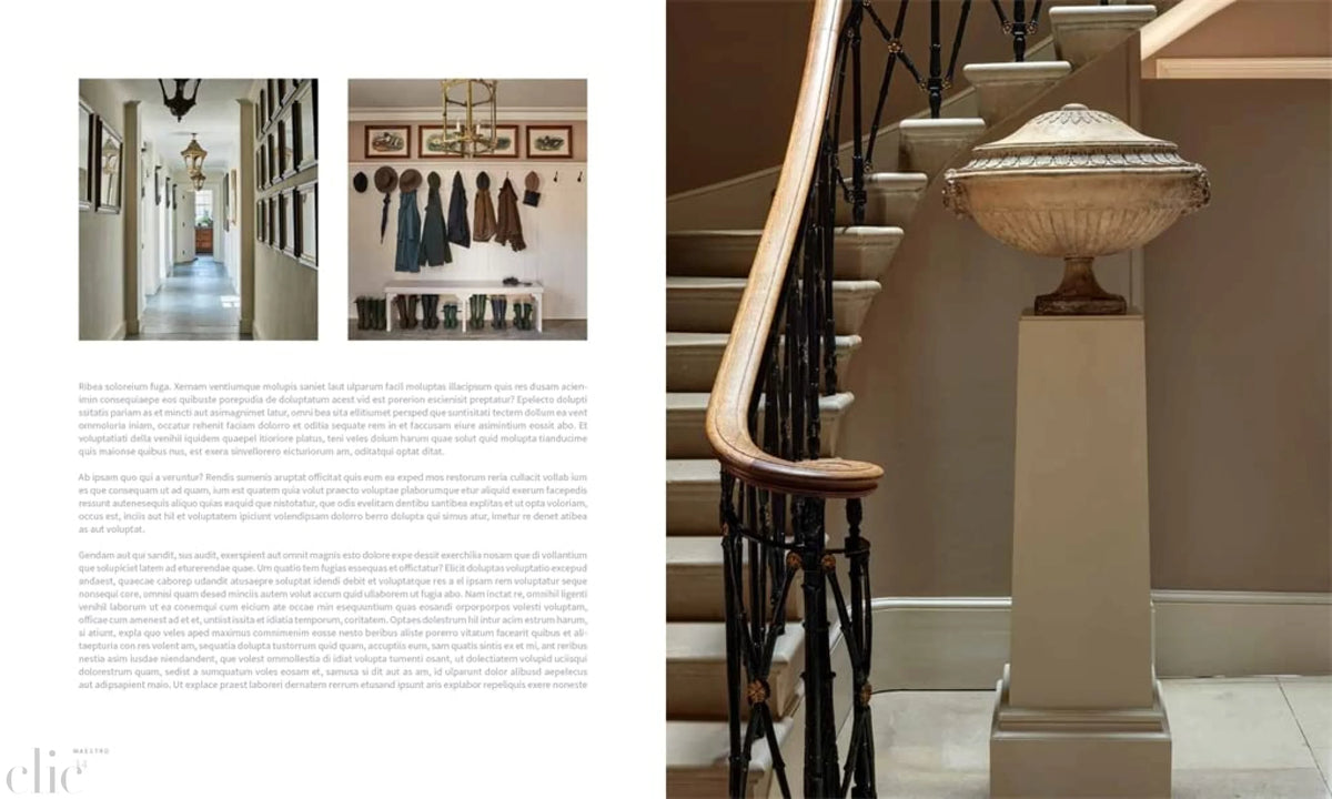 Studio Indigo: Architecturally Creative Interiors