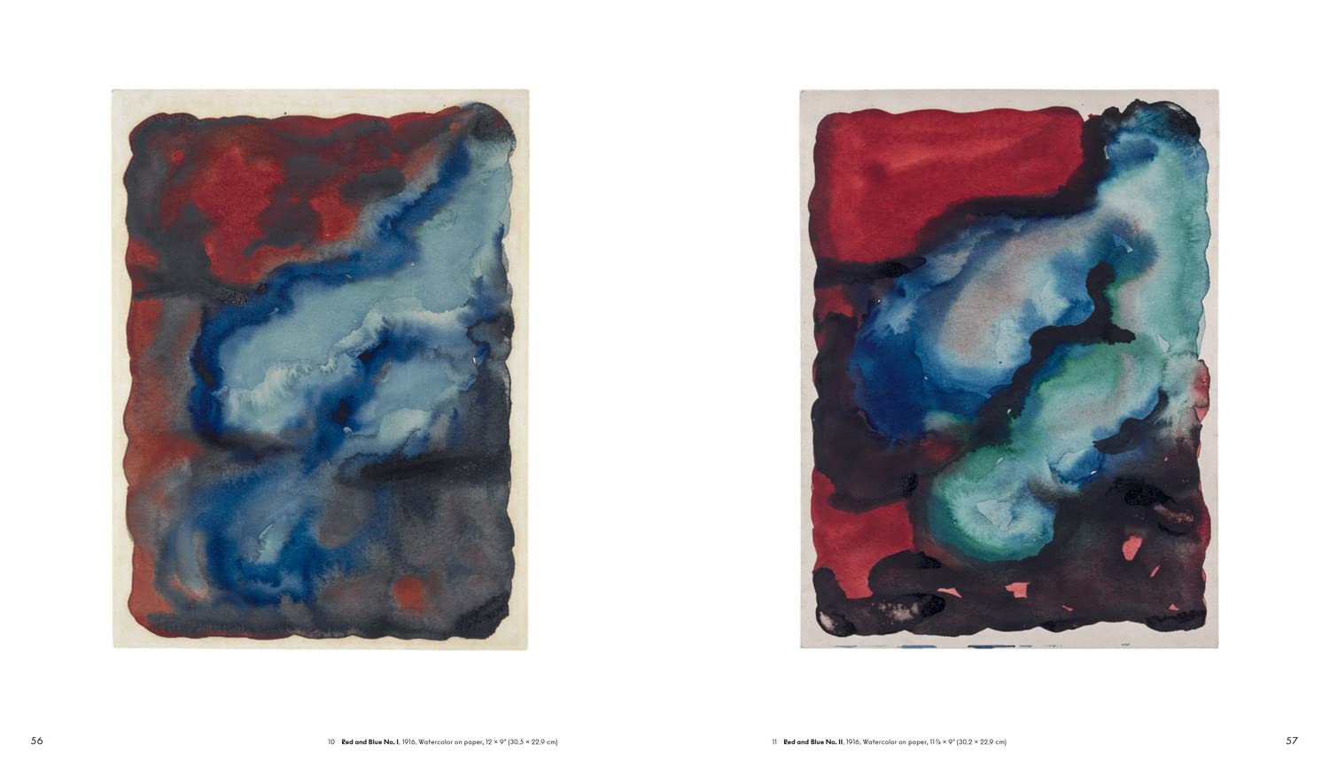 Georgia O’Keeffe: To See Takes Time