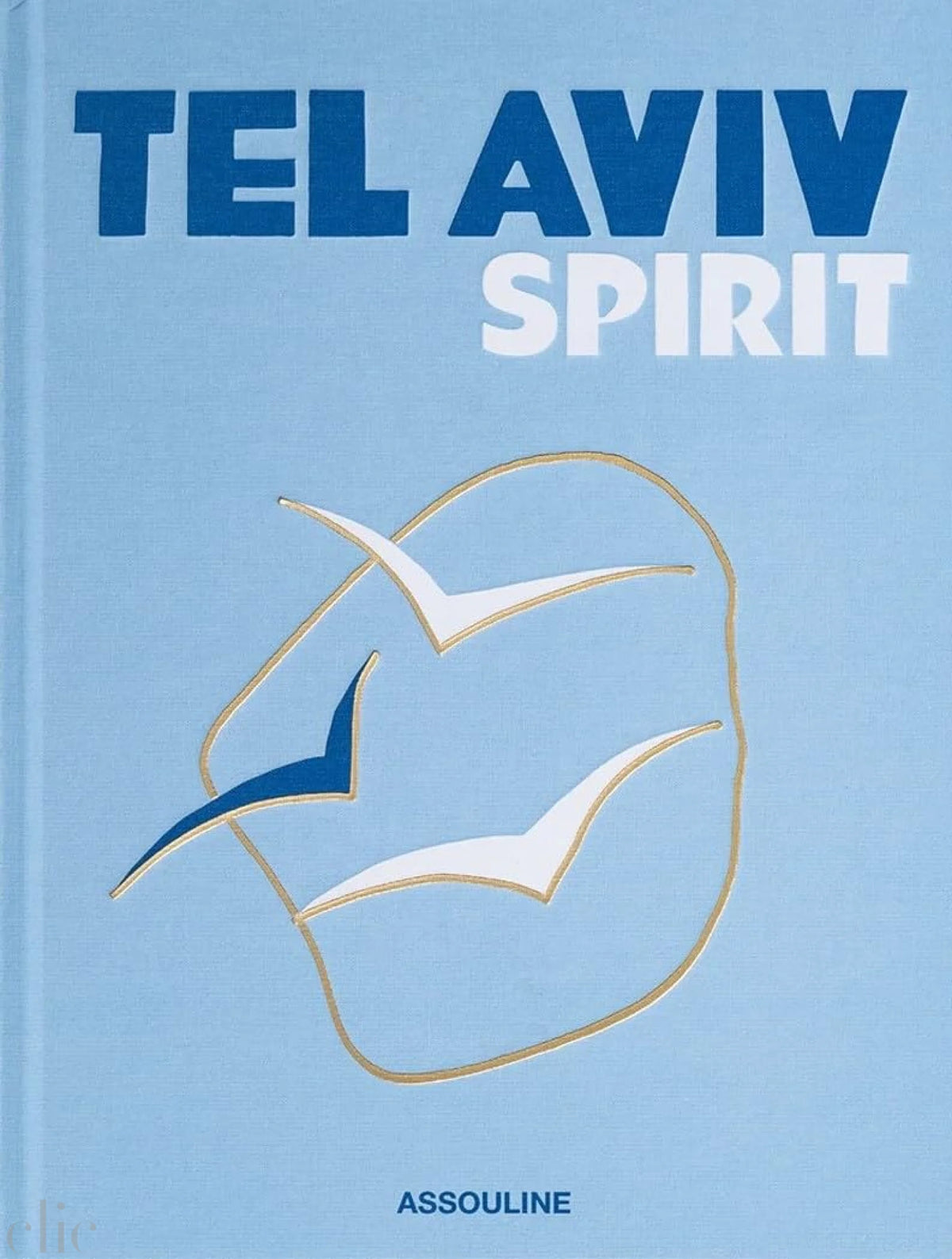 Tel Aviv Spirit