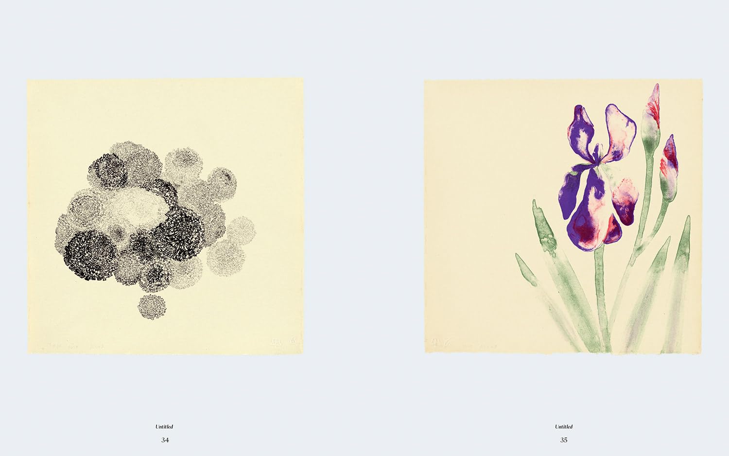 Ruth Asawa: The Tamarind Prints