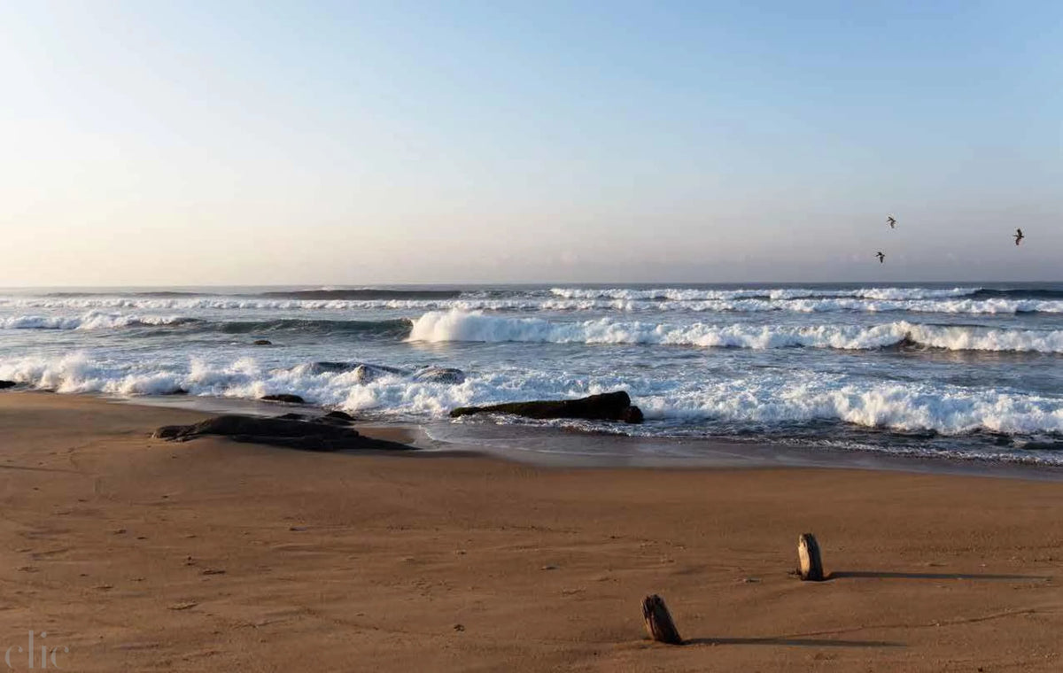 By the Sea: Inspiring Coastal Houses and Refuges