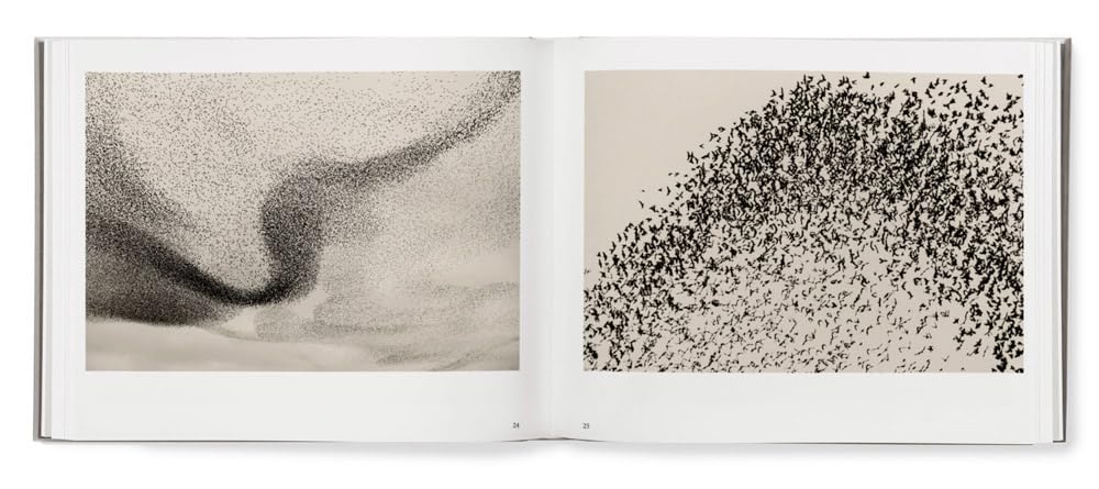 Søren Solkær: Black Sun