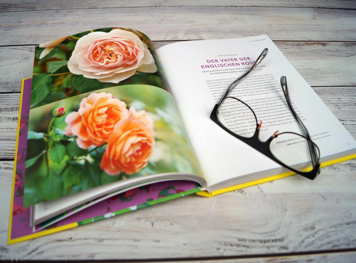 Roses Rosen
