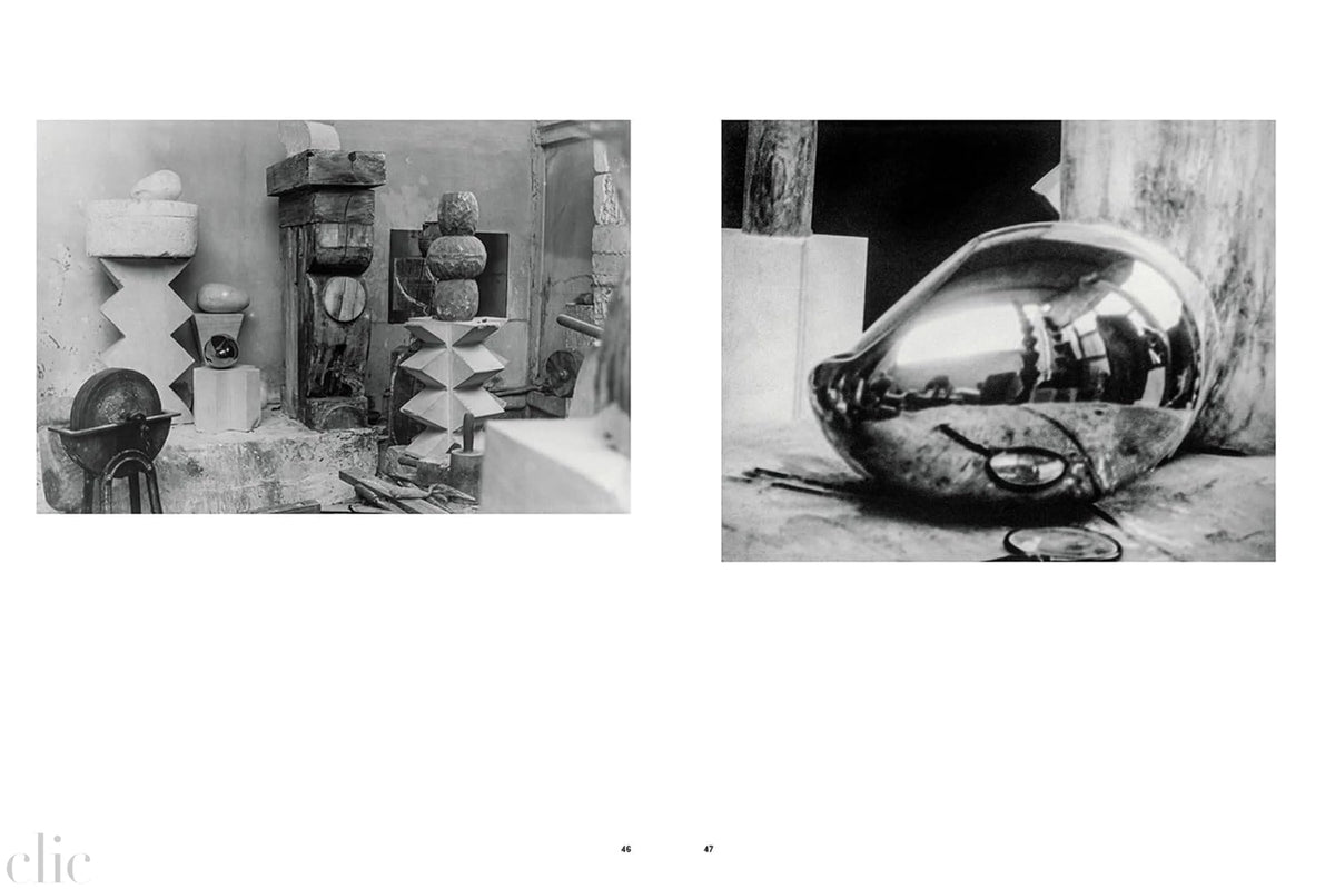 Brancusi: The Artist and His Studio