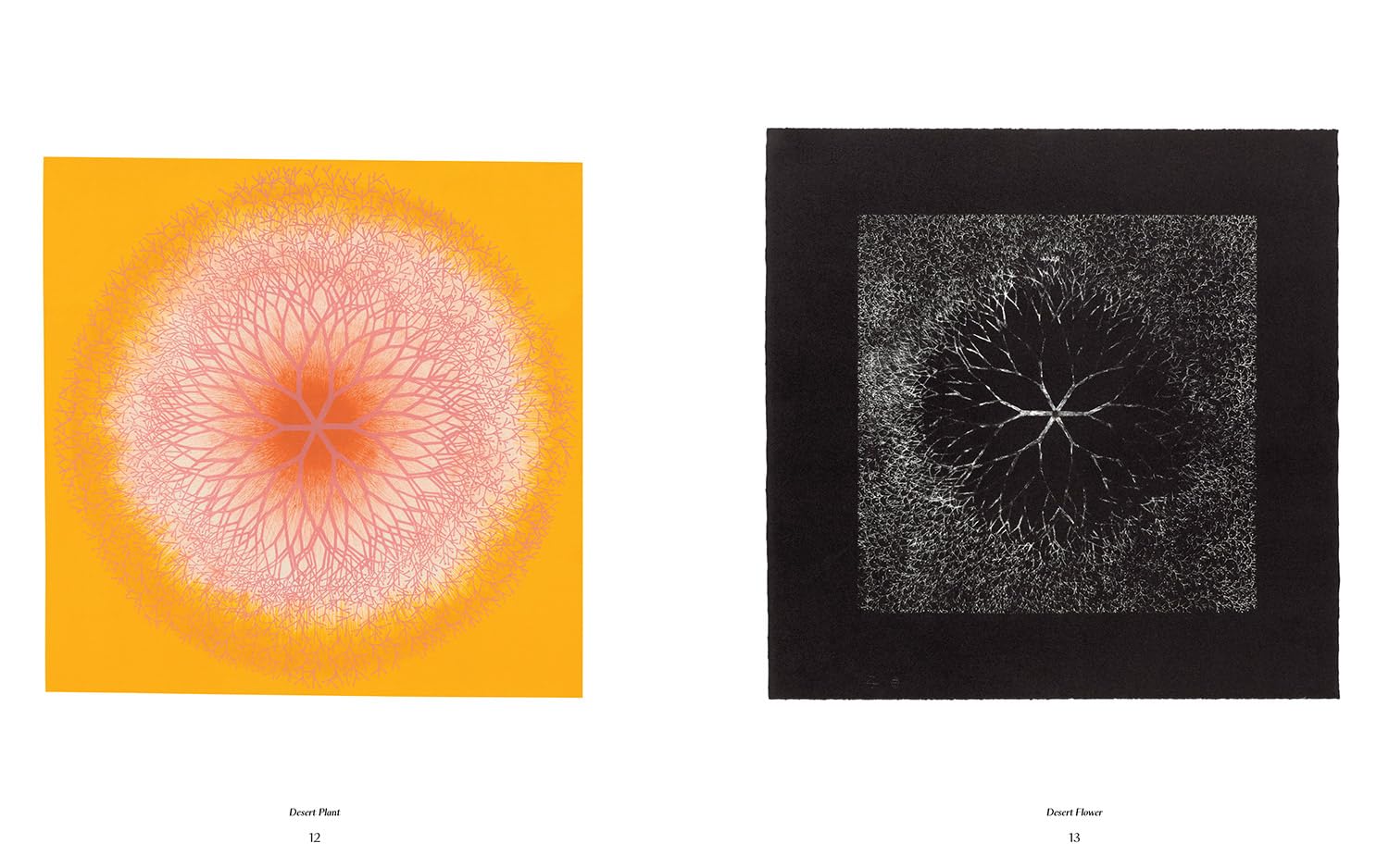 Ruth Asawa: The Tamarind Prints