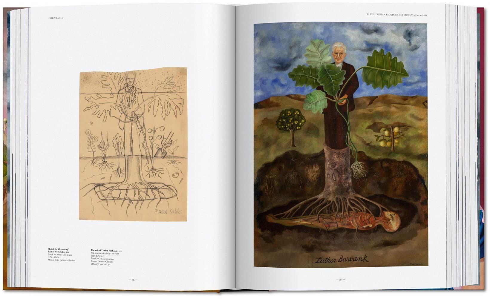 Frida Kahlo. The Complete Paintings