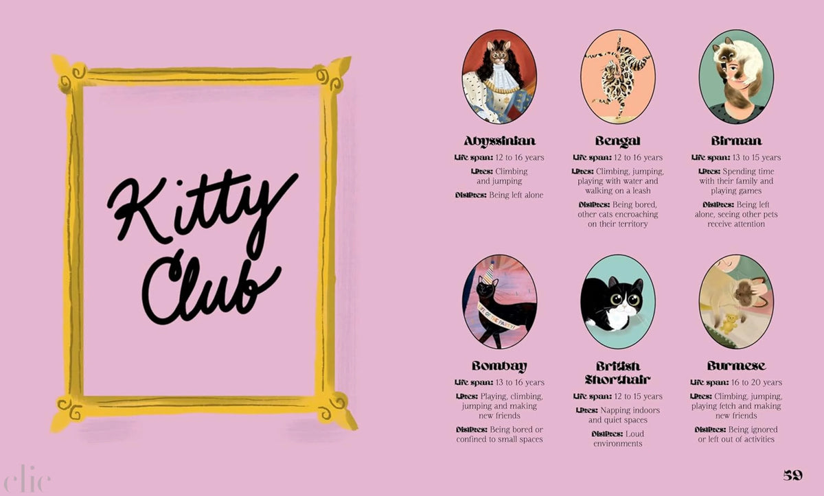 Catphabet: A whimsical celebration of our favourite feline friends