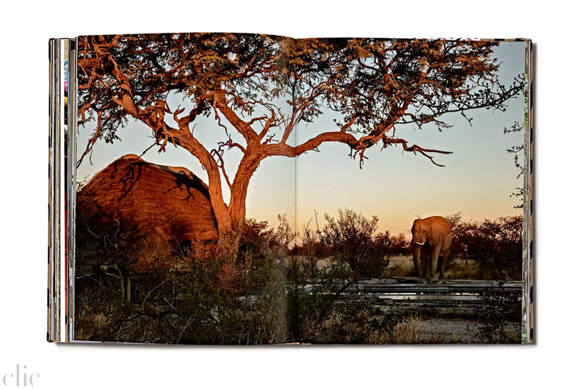Safari Style: Exceptional African Camps and Lodges―Stunning photographic volume showcasing the interior décor of Africa’s foremost luxury and eco-safari lodges