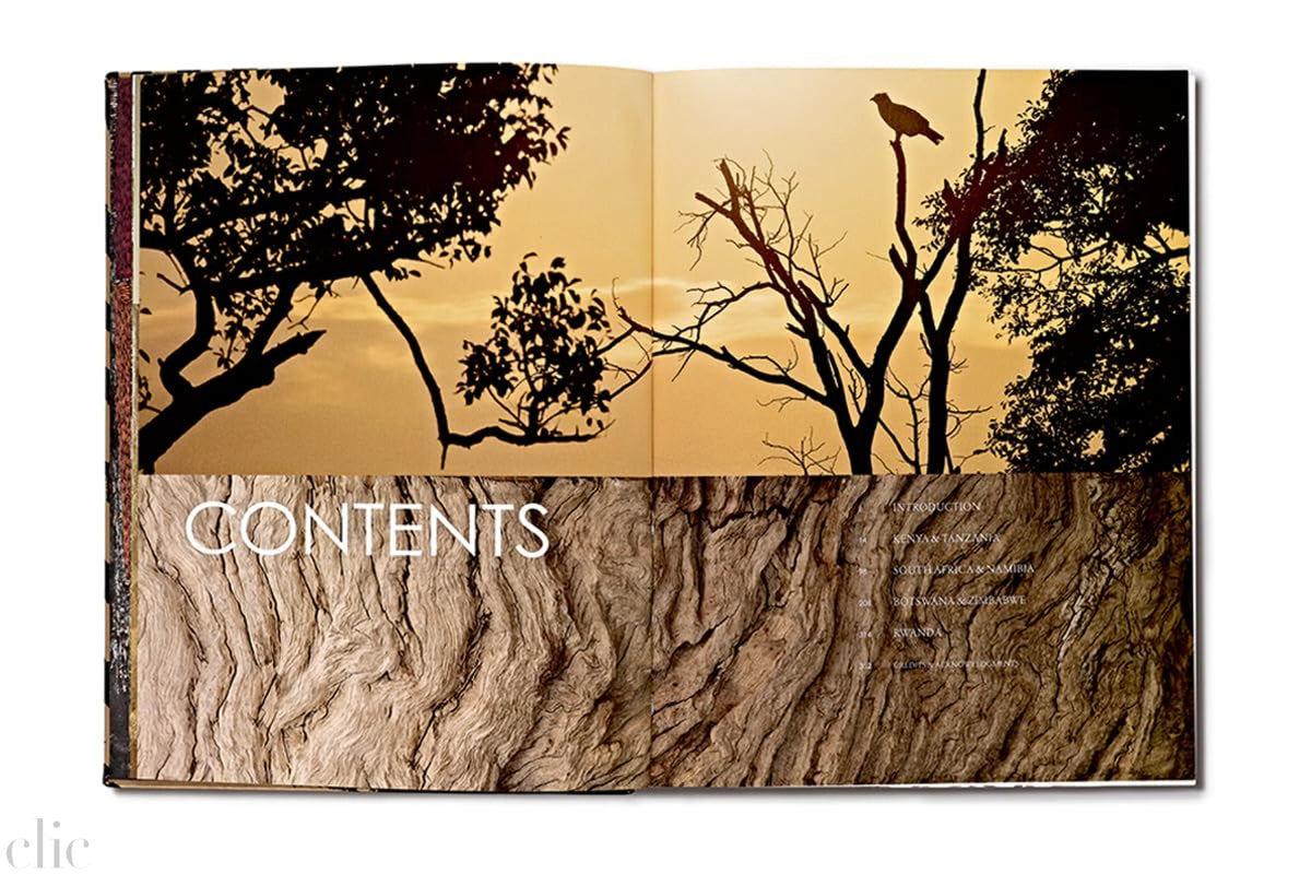 Safari Style: Exceptional African Camps and Lodges―Stunning photographic volume showcasing the interior décor of Africa’s foremost luxury and eco-safari lodges