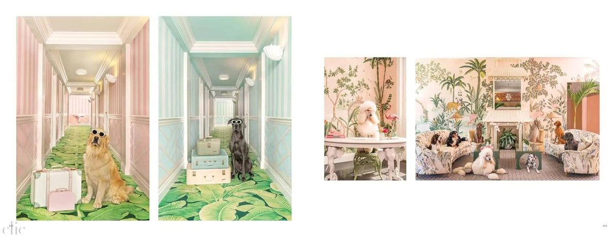 Gray Malin: Dogs: Photographs