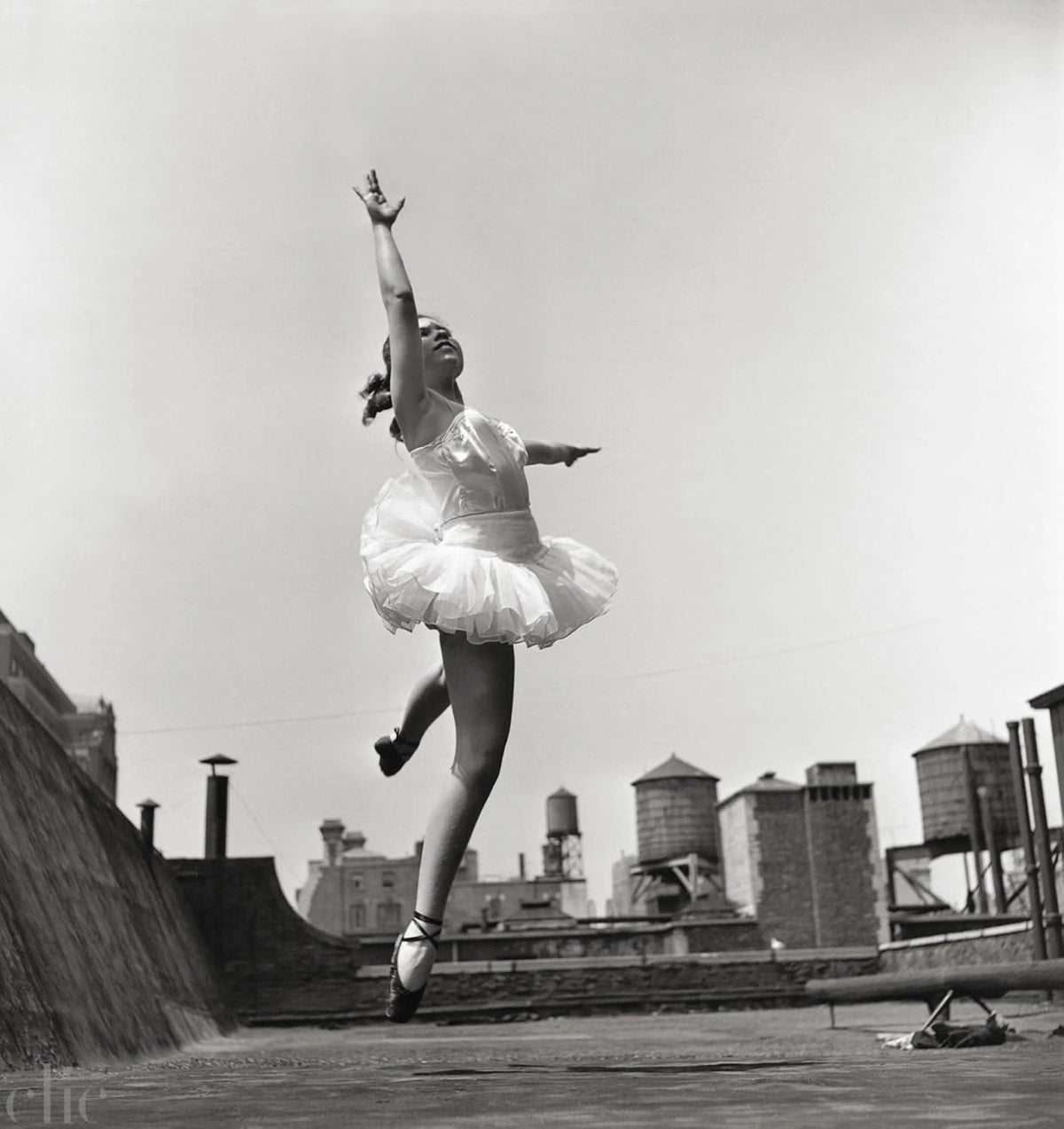 Elliott Erwitt's New York: Revised Edition