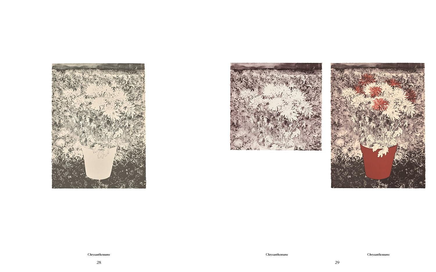 Ruth Asawa: The Tamarind Prints