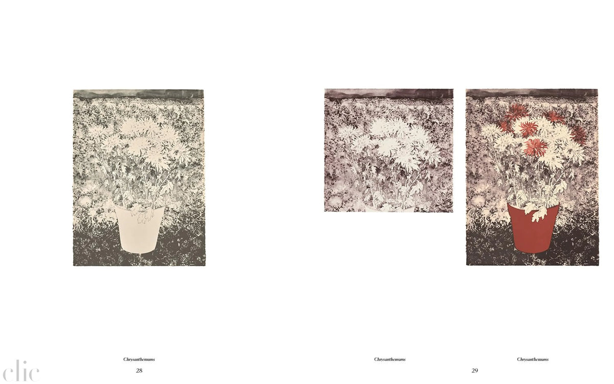 Ruth Asawa: The Tamarind Prints
