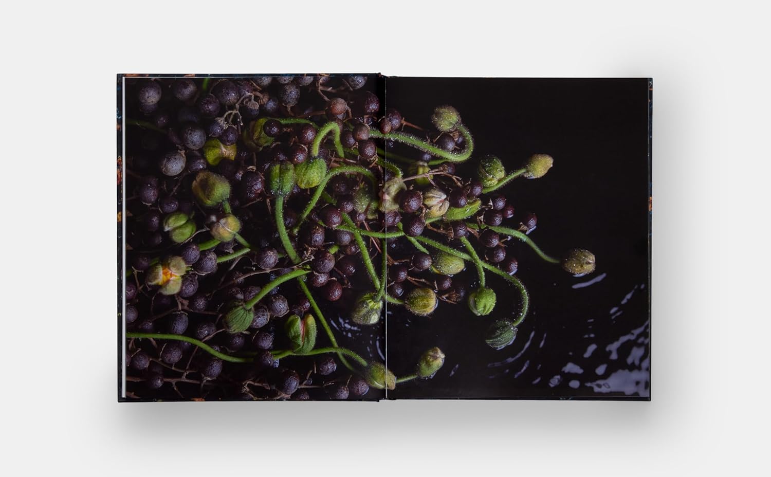 Emily Thompson Flowers