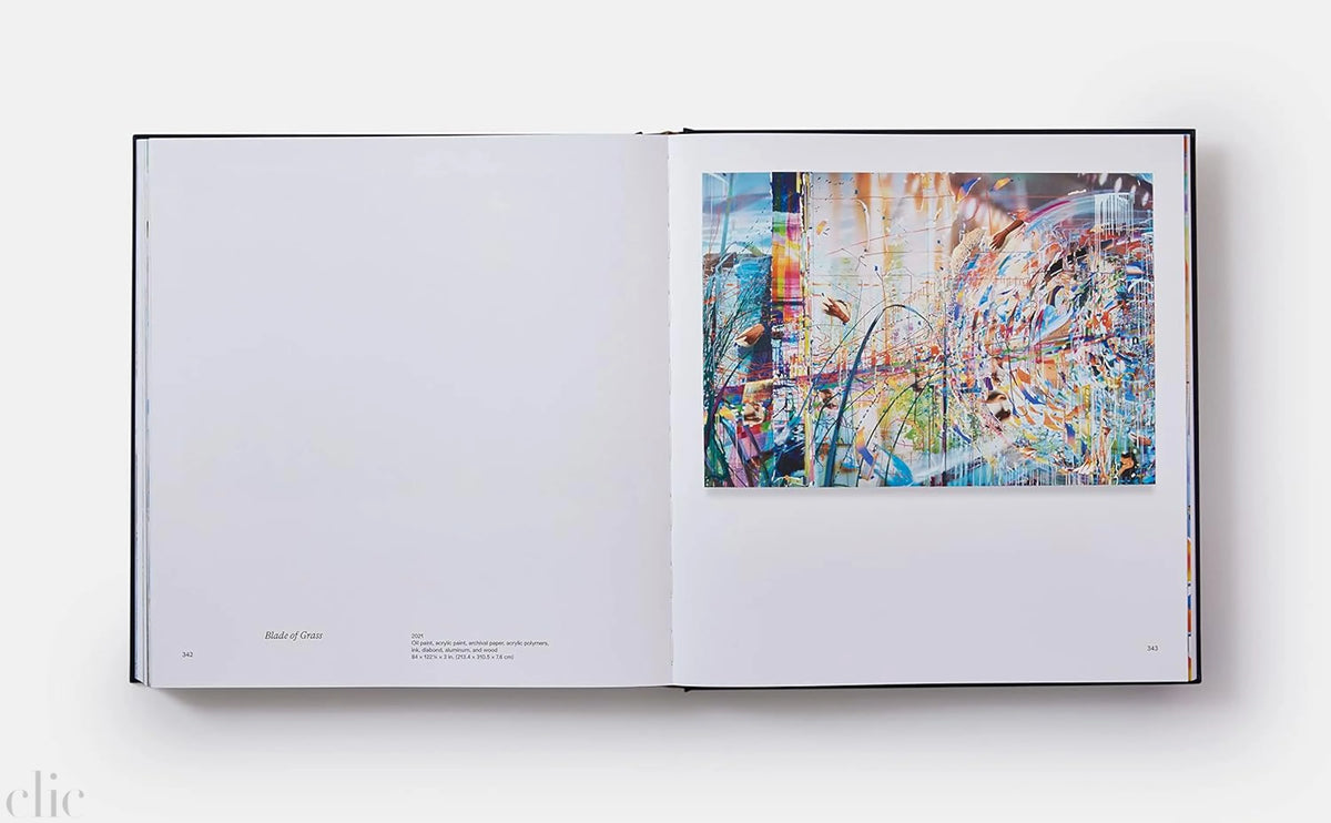 Sarah Sze: Paintings