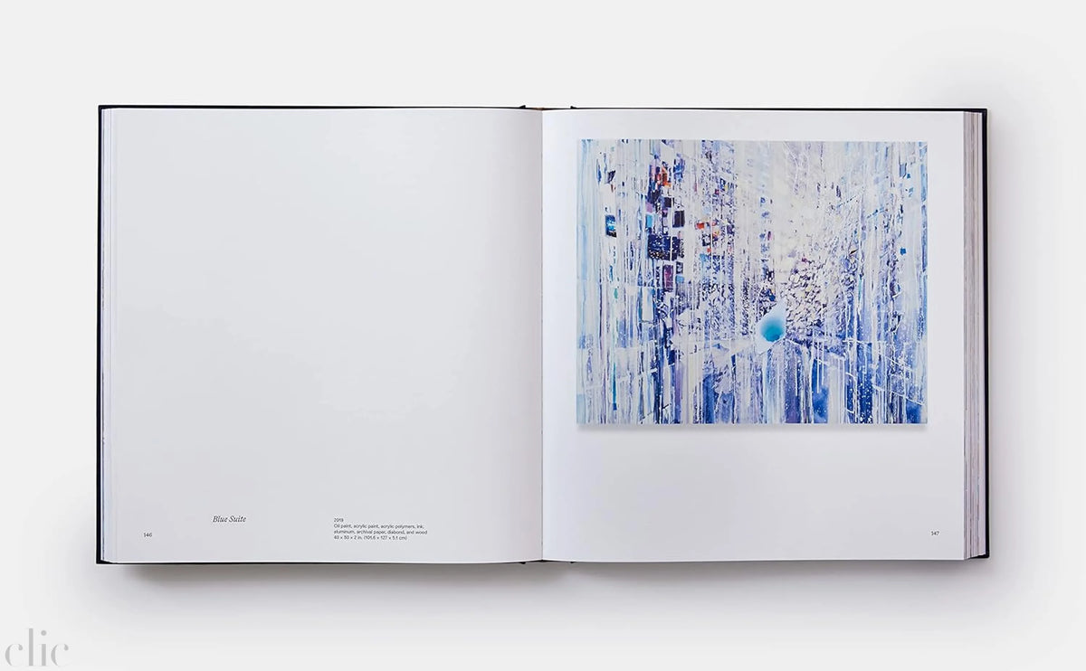 Sarah Sze: Paintings