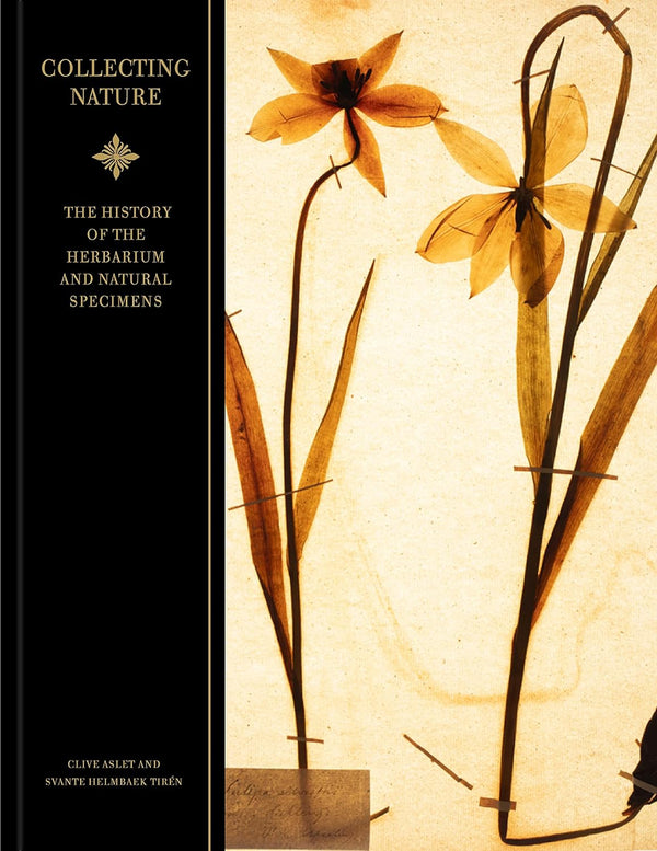 Collecting Nature: The History of the Herbarium and Natural Specimens