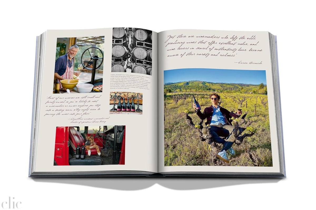 Wine & Travel United States of America: Exploring the best regional vineyards