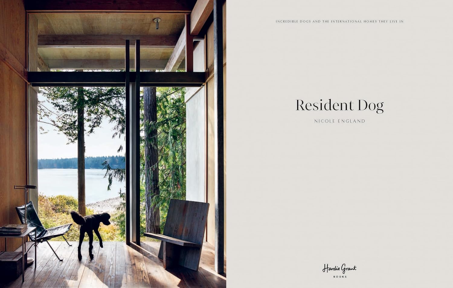 Resident Dog (Volume Two): Incredible Homes and the Dogs Who Live There