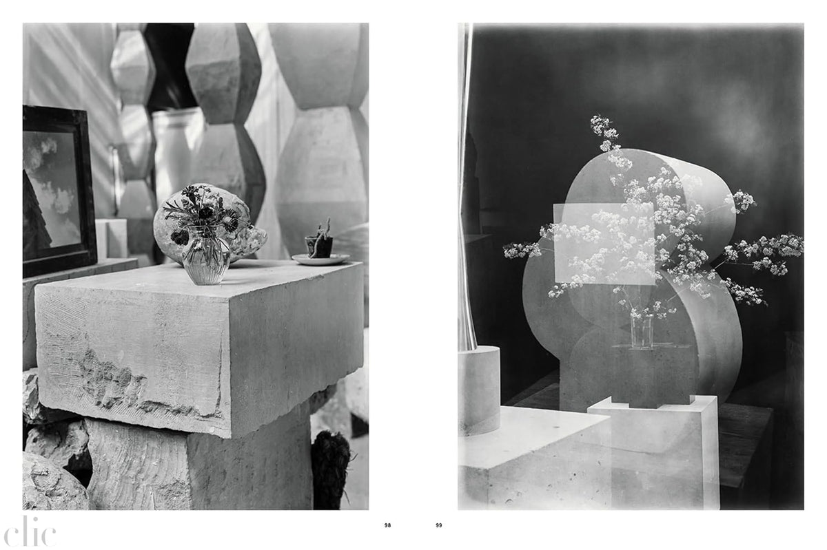 Brancusi: The Artist and His Studio