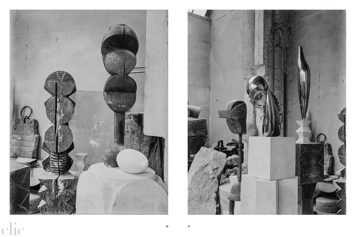 Brancusi: The Artist and His Studio