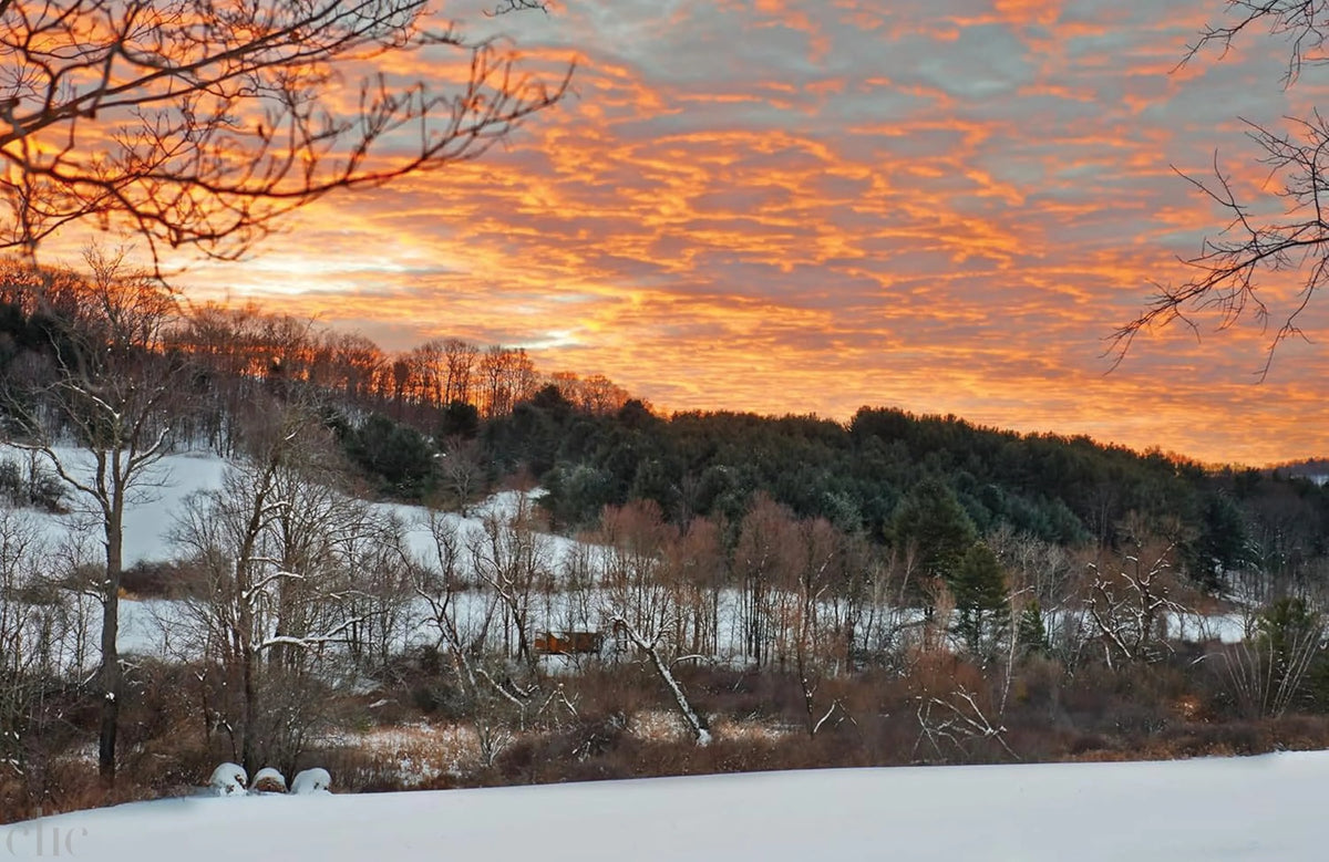 Upstate Now: Art, Design, and Rural Life in the Hudson Valley and Catskills