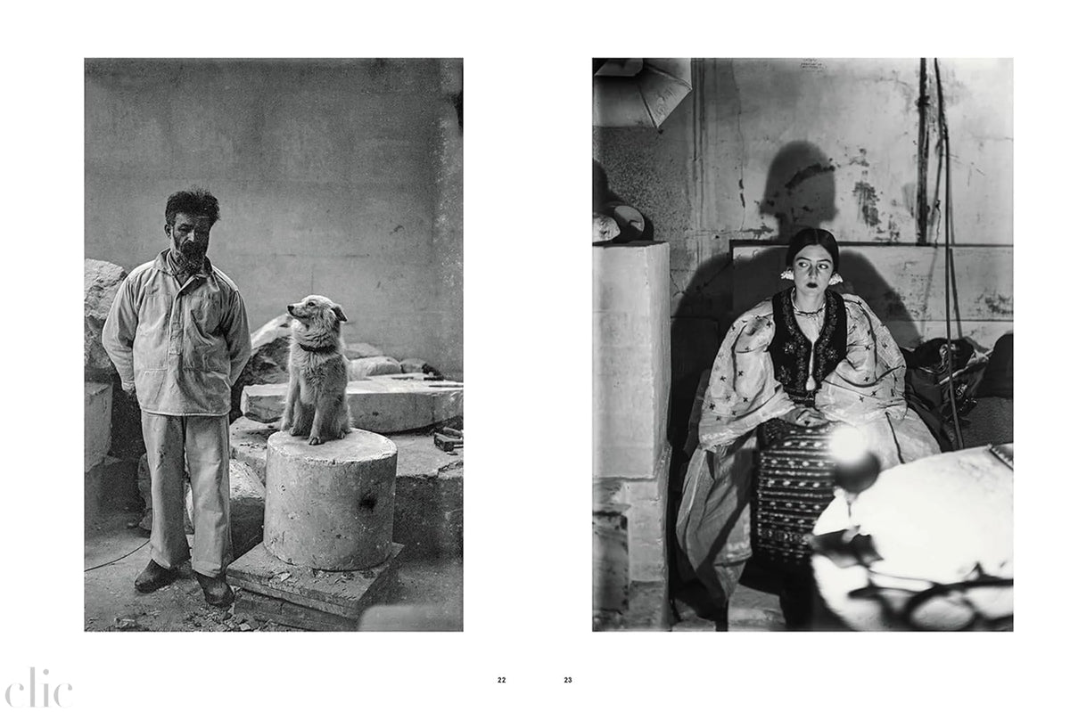 Brancusi: The Artist and His Studio