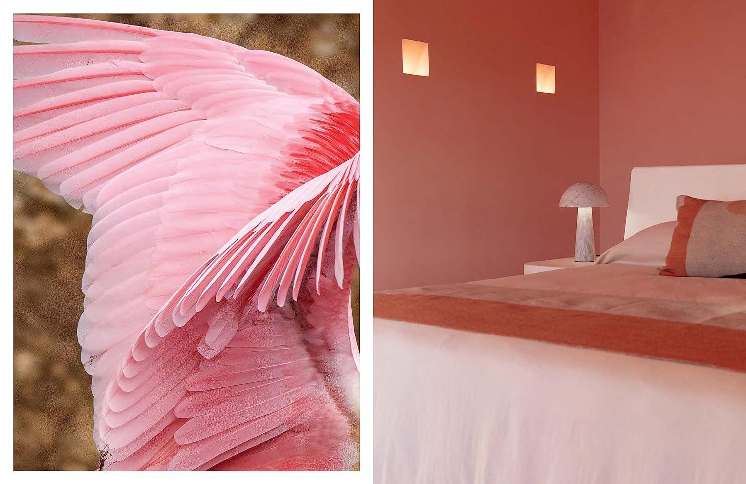 Mexican: A Journey Through Design