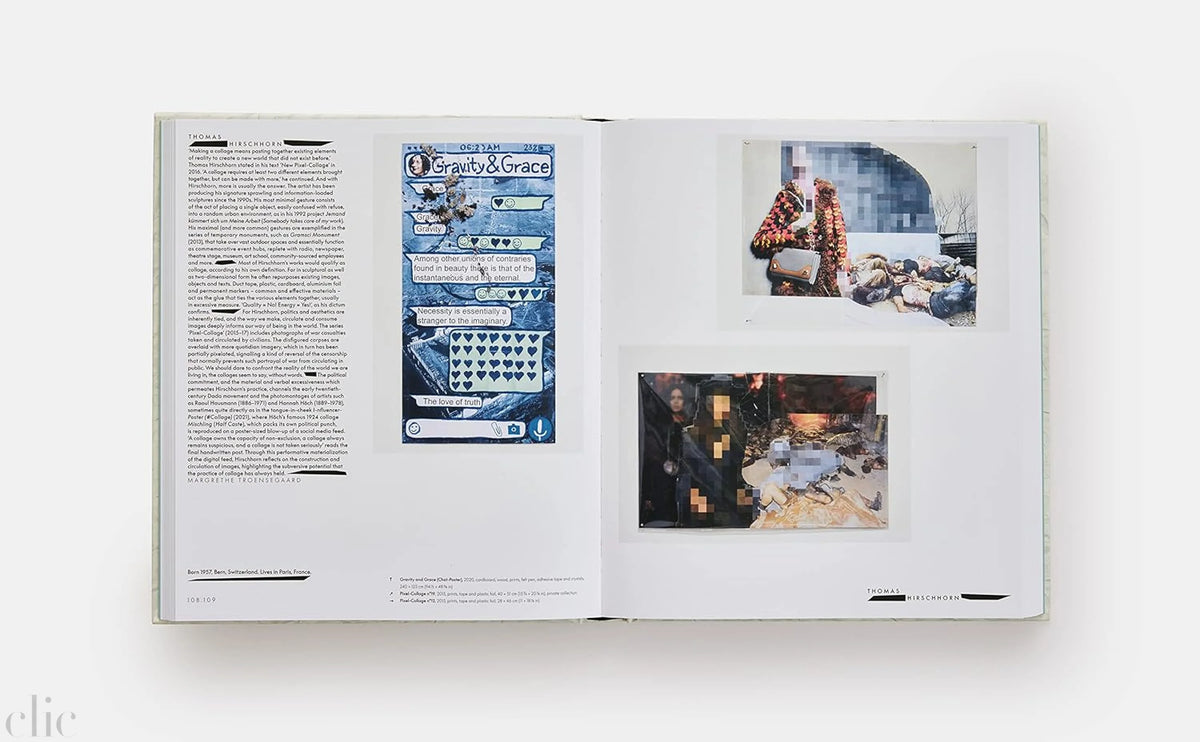 Vitamin C+: Collage in Contemporary Art