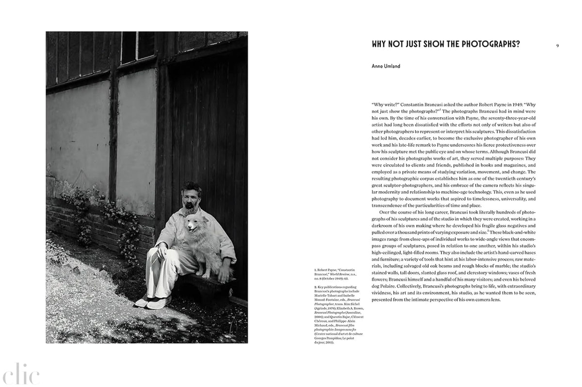 Brancusi: The Artist and His Studio